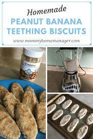 Homemade Peanut Banana Teething Biscuits Mommy Home Manager Teething Biscuits Homemade Baby Snacks Healthy Baby Food