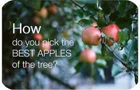 Get the inside scoop on jobs, salaries, top office locations, and ceo insights. Bmken0uhzqq19m