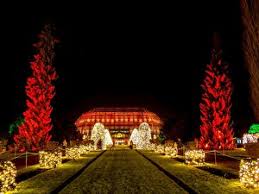 Sommerkonzerte, botanische nächte, der berliner staudenmarkt oder die orchideenschau sind bei besuchern. Christmas Garden Berlin Berlin De