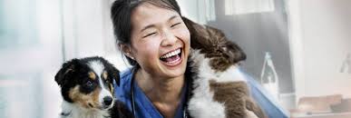 Eye Care for Animals