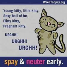 Please remember to #spay and #neuter your pets. 35 Desexing Ideas Neuter Spay Pets
