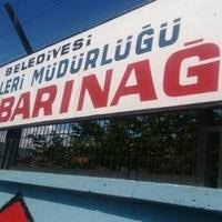 Tokat Belediyesi Hayvan Barinagi Animal Shelter