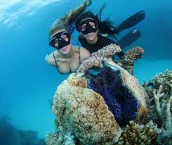 Did You Know The Giant Clam Gets Only One Chance To Find A Nice Home Once It Fastens Itself To A Spot On A Reef The Snorkeling Underwater Images Snorkelling
