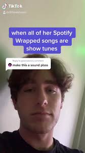 Spotify Wrapped Dylan