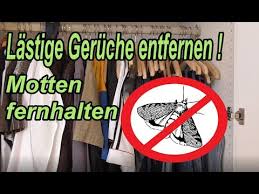 Die präparierte frucht auf einer untertasse oder einem kleinen teller in den schrank stellen. Muffige Geruche Aus Dem Schrank Naturlich Entfernen Motten Im Kleiderschrank Bekampfen Youtube