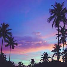 Raccoon — summer vibe 04:04. Summer Vibes 2020 By Kabuczi By Dj Kabuczi
