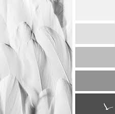 Black And White Pictures To Color Tactile Color Palettes Modern Color Palette Grey Color Palette Color Schemes Colour Palettes