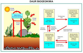 Pertanian merupakan industri yang berbahaya. Daur Biogeokimia Pengertian Macam Jenis Dan Contoh