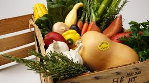 Meat, beans aren't only protein powerhouses