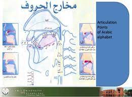 Educators recommend introducing the easy. Articulation Points Of Arabic Alphabet