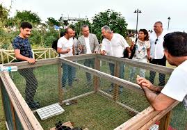Muzayedeyle 165 Kilogram Kedi Kopek Mamasi Toplandi
