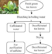 Water Decaffeination Process For Green Tea Color Figure Available Download Scientific Diagram