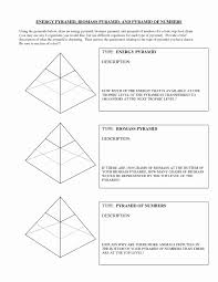 Ecological Pyramids Worksheet Answer Key Inspirational 13 Best Of Ecological Pyramids Worksheet Answer Key In 2020 Ecological Pyramid Pyramid Lessons Answer Keys