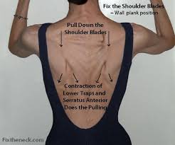 Pin On Sports Ortho Pt