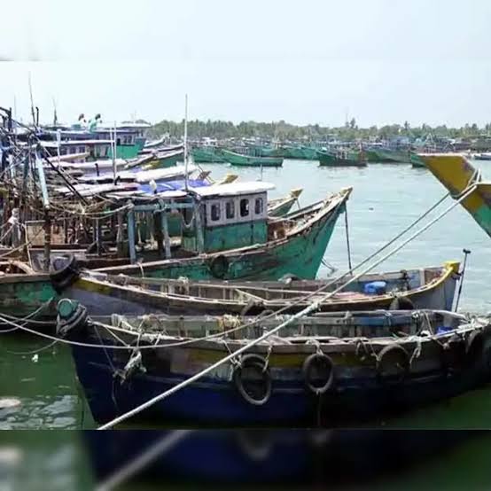 Tamil Nadu begins 61-day fishing ban in state; Here's why - The Economic Times