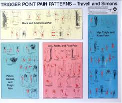 Travell And Simons Trigger Point Chart 2 Www