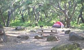 Our community provides the best free camping information available. Los Padres National Forest Camping Cabins