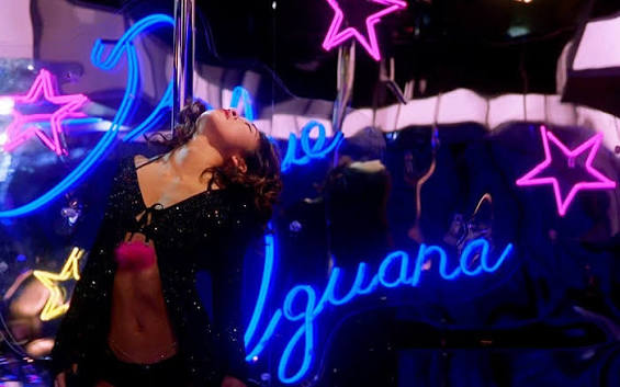 let's talk about the time iconic actress sandra oh played a quick-witted  poetry writing exotic dancer in the film “dancing at the blue iguana.”  ✨🪩☁️ this movie is beautifully bizarre & glamoursly