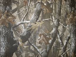 We did not find results for: Realtree Camo Wallpapers Wallpaper Cave