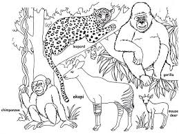 Animal Coloring Page For Brazil Jungle Coloring Pages Animal Coloring Pages Animal Coloring Books