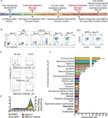 A Novel Hipsc Derived System For Hematoendothelial And
