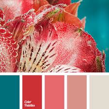 Check spelling or type a new query. Turquoise And Coral Color Palette Ideas