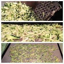 Spread in a single layer on dehydrator tray and dry at 125° for approximately eight hours. How To Dehydrate Zucchini Summer Squash