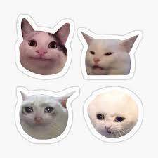 Meme Stickers Cat Stickers Meme Stickers Stickers Packs