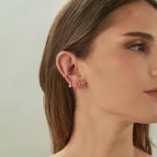 Silver Climbing Earrings