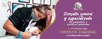 Rhino Pets Clinica Veterinaria