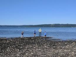 State parks • national parks. Great Little Cabins Review Of Dosewallips State Park Washington United States Tripadvisor