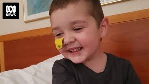 The long goodbye to 4yo 'Liam the Lion' who lost his battle with rare  mitochondrial disease POLG