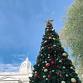 2025 Annual Tree Lighting Ceremony event image