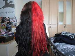 Pin By Kailey On Hair Ideas Hair Color For Black Hair Split Dyed Hair Half Colored Hair