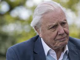 (cnn) at 93, sir david attenborough has spent a lifetime studying the natural world, and been knighted for his efforts. Sir David Attenborough Thinks About Ageing And His Own Mortality Every Day The Independent The Independent