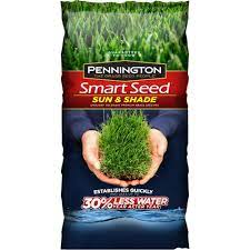 Pennington Smart Seed Grass Seed For Shade Fescue Grass Seed Grass Seed