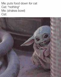Baby Yoda On Instagram Thank You Hooman For More Follow Baby Yodamemes Babyyoda Yoda Starwars Memes Cute S Yoda Meme Yoda Funny Star Wars Memes
