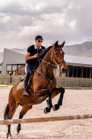 The horse is a large mare, as were all ho. Horse Jumping Pictures Download Free Images On Unsplash