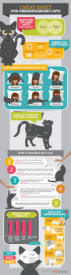 Pet sitting services for cats. 28 Best Cat Sitter Ideas Cat Sitter Sitter Pets