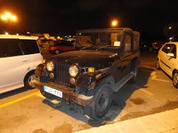 Image result for Autumn Brown 1996 SsangYong