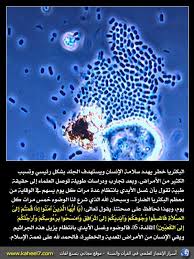 صورة وآية غسل الأيدي للوقاية من البكتريا Quran Quotes Love Miracles Of Quran Muslim Book