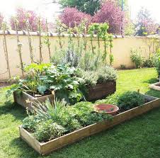 Faire Un Petit Potager Dans Un Jardin De Ville 360m2 Fr En 2020 Petit Potager Jardin De Ville Potager