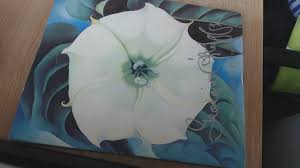 Georgia O Keefe One Hundred Flowers Amazon De O Keeffe Georgia Fremdsprachige Bucher