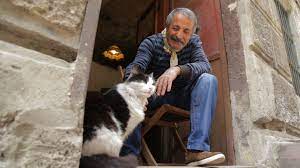 Cat Documentary El Gato Pelicula Alemania Gatos