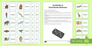 Invertebrate Or Vertebrate Dominoes Cfe Science Games