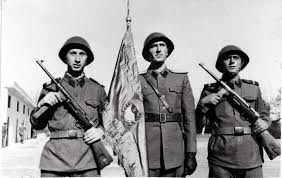 Fără armă în linia întâi (titlu original: ContribuÈ›ii La Istoria DotÄƒrii Cu Armament A Armatei Romane Intre 1944 È™i 1959 Estica News