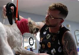 He grooms dogs others won't touch. Meet the N.J. 'pet barber' helping  rescues.