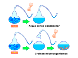 The Theory Of Biogenesis Spallanzani S And Pasteur S Experiment