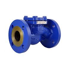 Flanged steel check valve | DN15 - DN100 | Order online