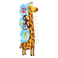 Giraffe Height Chart Wall Sticker Red Panda Wall Stickers